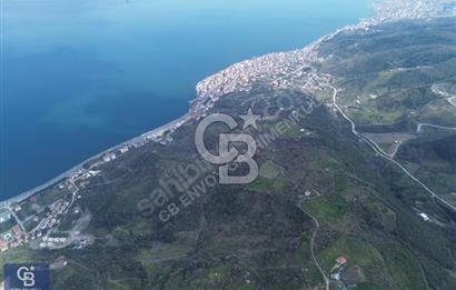 CB ENVOY'dan GÖLCÜK KÖRFEZ MAHALLESİ'nde 18.805 M2 SATILIK TARLA