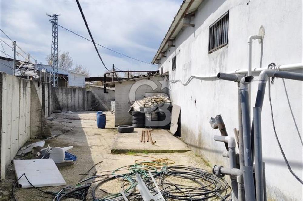 Tır Girişine Uygun 6.5 m Yüksek Depo | 800 m² Net