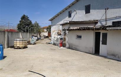 Tır Girişine Uygun 6.5 m Yüksek Depo | 800 m² Net