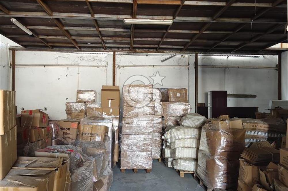 Tır Girişine Uygun 6.5 m Yüksek Depo | 800 m² Net