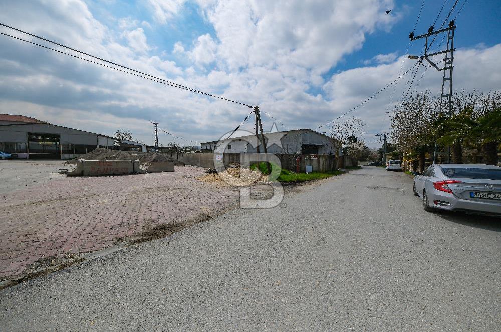 Tır Girişine Uygun 6.5 m Yüksek Depo | 800 m² Net