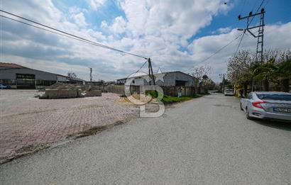 Tır Girişine Uygun 6.5 m Yüksek Depo | 800 m² Net