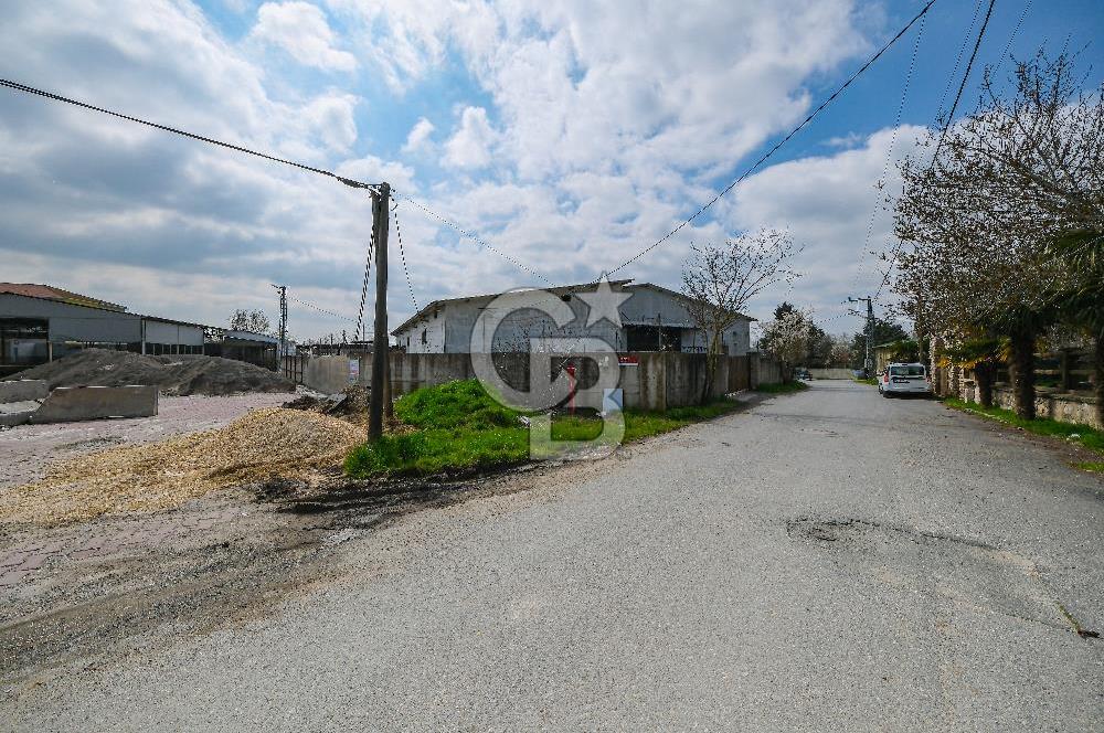 Tır Girişine Uygun 6.5 m Yüksek Depo | 800 m² Net