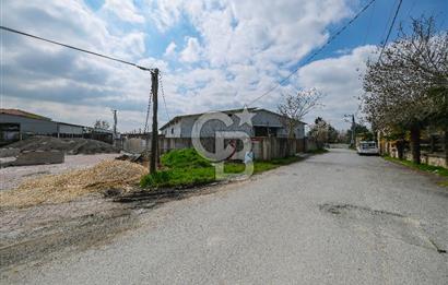 Tır Girişine Uygun 6.5 m Yüksek Depo | 800 m² Net