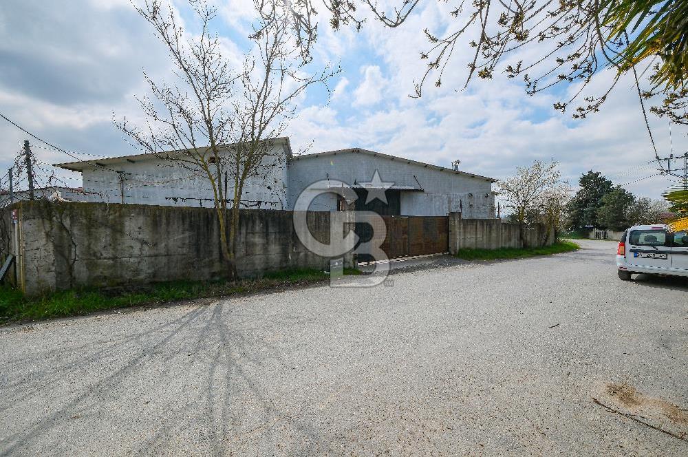 Tır Girişine Uygun 6.5 m Yüksek Depo | 800 m² Net