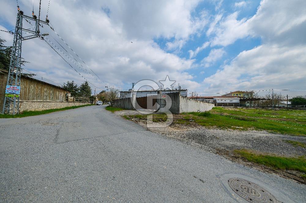 Tır Girişine Uygun 6.5 m Yüksek Depo | 800 m² Net