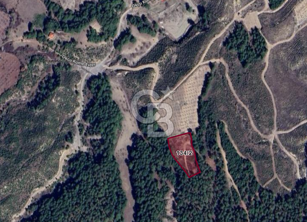 Tavas Pınarlık'ta 3.965 M² Satılık Tarla