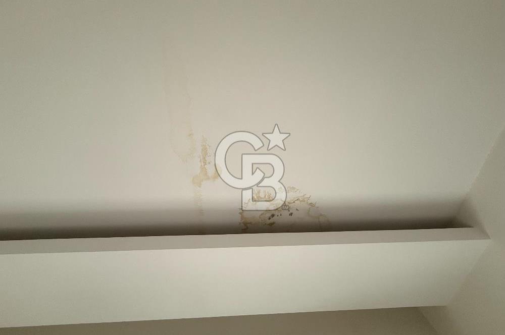 Yeşilköy Merkez Gazievrenos Cd 270 m² Yeni Kiralık Dubleks