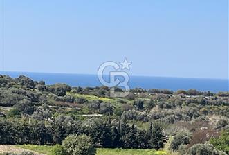 Çeşme Ovacık'ta Ana Yola Yakın 4.088 m² Yatırımlık Tarla - 10 - 344397