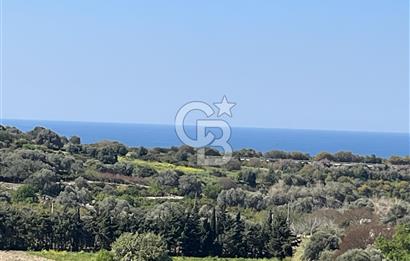 Çeşme Ovacık'ta Ana Yola Yakın 4.088 m² Yatırımlık Tarla