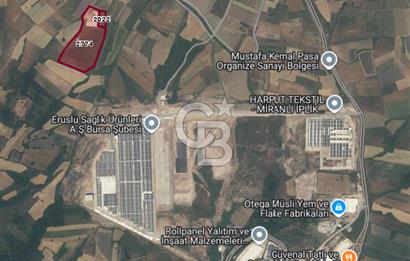 BURSA MUSTAFAKEMALPAŞA %40 İMARLI BÜYÜKBAŞ ÇİFTLİĞİ