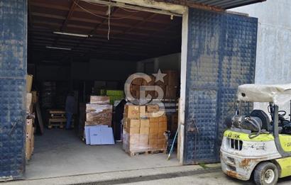 Tır Girişine Uygun 6.5 m Yüksek Depo | 800 m² Net