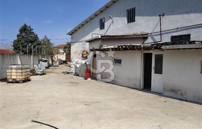 Tır Girişine Uygun 6.5 m Yüksek Depo | 800 m² Net