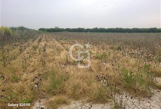 MENEMEN KESİK’TE SANAYİYE YAKIN 13.573 m² LOJİSTİK & DEPO POTANSİLLİ ARAZİ - 3 - 344623