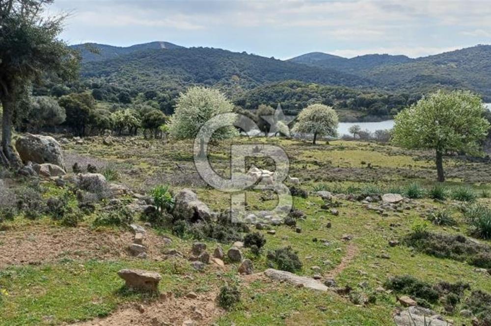 GÖKÇEADA ZEYTİNLİ KÖYÜNDE SATILIK TARLA