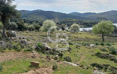 GÖKÇEADA ZEYTİNLİ KÖYÜNDE SATILIK TARLA