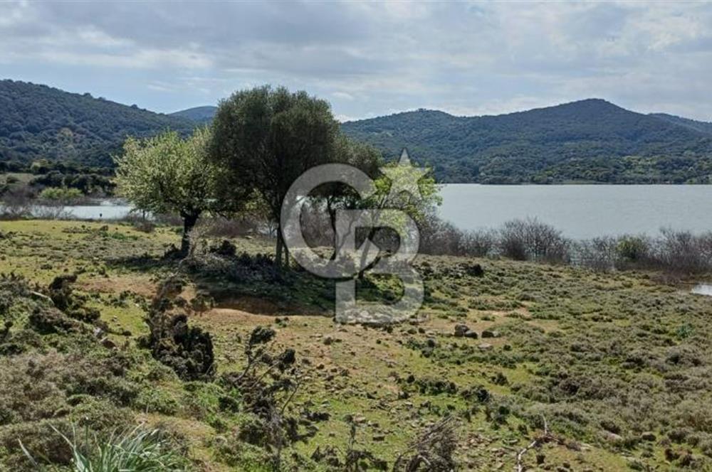 GÖKÇEADA ZEYTİNLİ KÖYÜNDE SATILIK TARLA