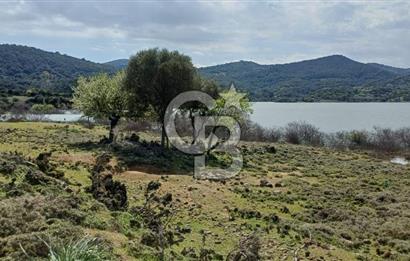 GÖKÇEADA ZEYTİNLİ KÖYÜNDE SATILIK TARLA