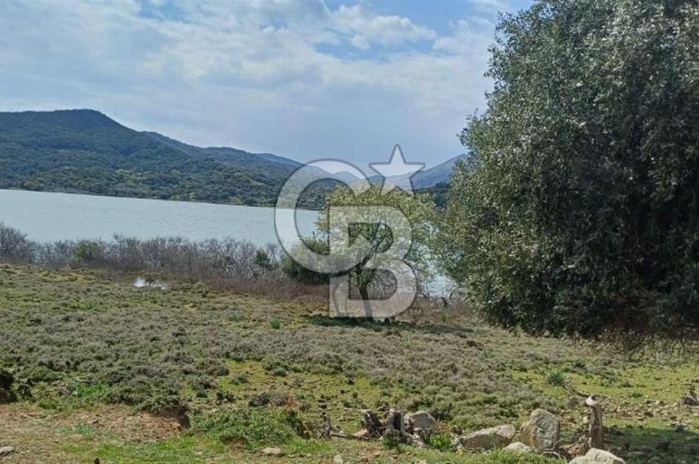 GÖKÇEADA ZEYTİNLİ KÖYÜNDE SATILIK TARLA