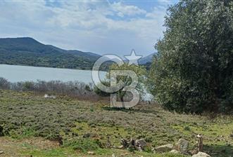 GÖKÇEADA ZEYTİNLİ KÖYÜNDE SATILIK TARLA - 2 - 344658