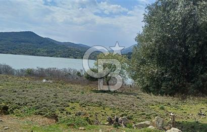 GÖKÇEADA ZEYTİNLİ KÖYÜNDE SATILIK TARLA