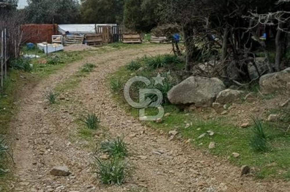 GÖKÇEADA ZEYTİNLİ KÖYÜNDE SATILIK TARLA