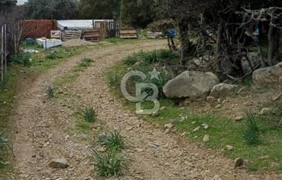 GÖKÇEADA ZEYTİNLİ KÖYÜNDE SATILIK TARLA