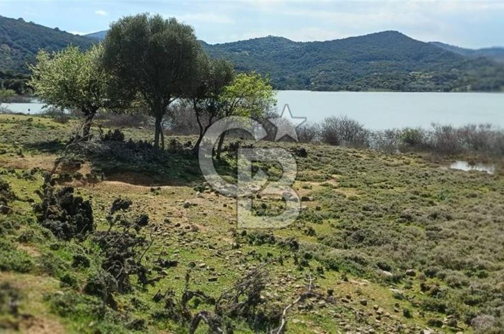 GÖKÇEADA ZEYTİNLİ KÖYÜNDE SATILIK TARLA