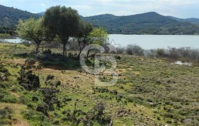 GÖKÇEADA ZEYTİNLİ KÖYÜNDE SATILIK TARLA