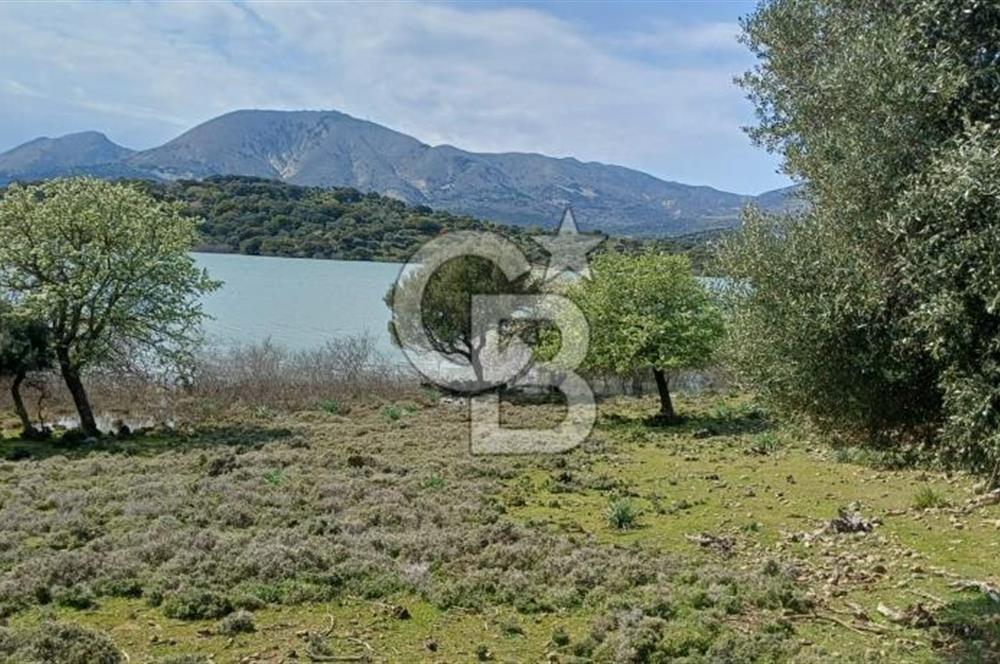 GÖKÇEADA ZEYTİNLİ KÖYÜNDE SATILIK TARLA