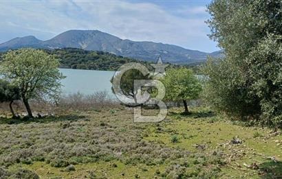 GÖKÇEADA ZEYTİNLİ KÖYÜNDE SATILIK TARLA