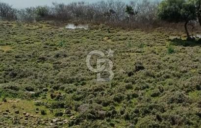 GÖKÇEADA ZEYTİNLİ KÖYÜNDE SATILIK TARLA