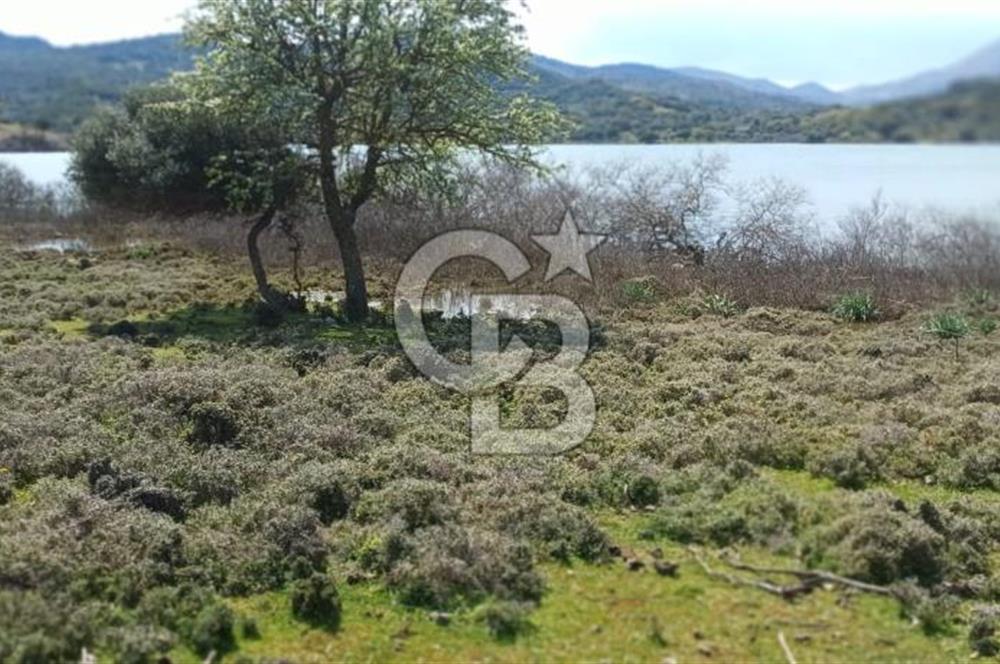 GÖKÇEADA ZEYTİNLİ KÖYÜNDE SATILIK TARLA