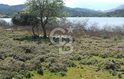 GÖKÇEADA ZEYTİNLİ KÖYÜNDE SATILIK TARLA