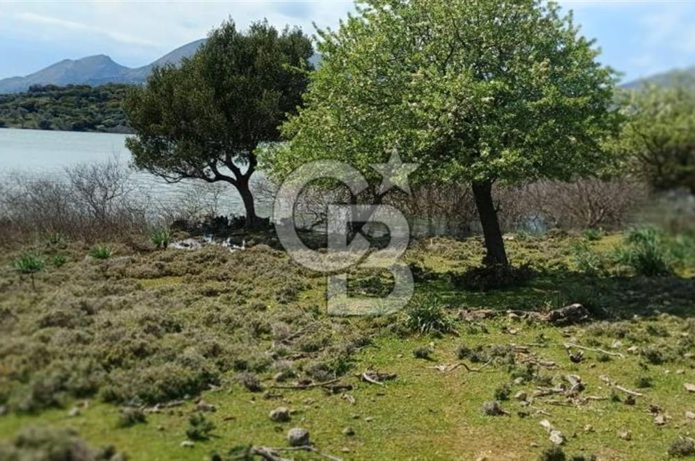 GÖKÇEADA ZEYTİNLİ KÖYÜNDE SATILIK TARLA