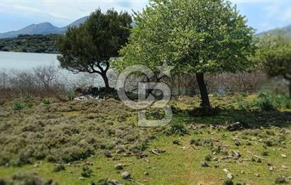 GÖKÇEADA ZEYTİNLİ KÖYÜNDE SATILIK TARLA