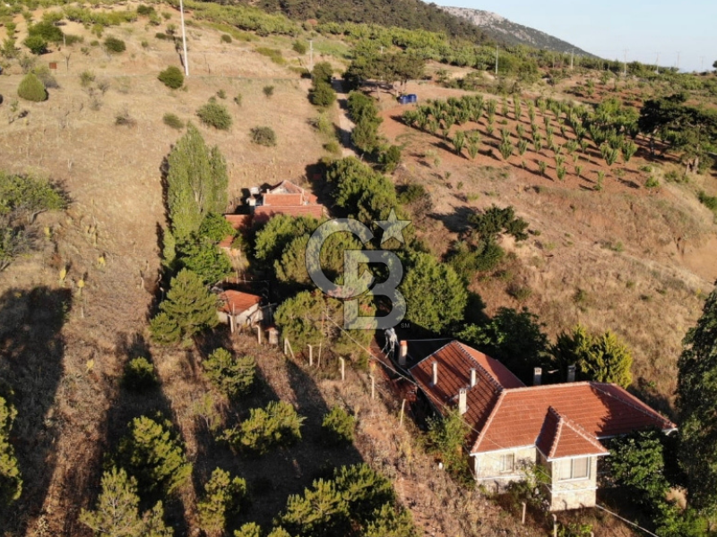 MUSELAND KEMALPAŞA BEŞPINAR SATILIK TARLA VE DAĞ EVİ