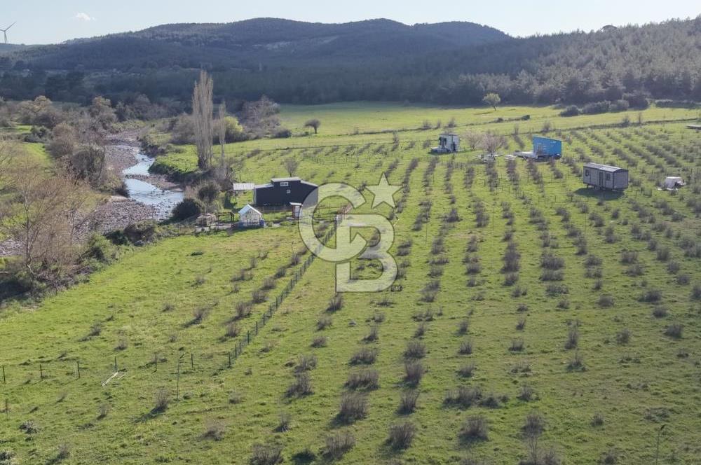Bergama' da Hazır Düzenli | Sosyal Alanlı Satılık Parsel