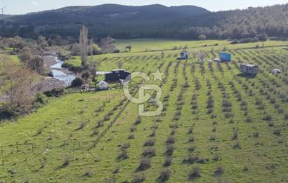 Bergama' da Hazır Düzenli | Sosyal Alanlı Satılık Parsel