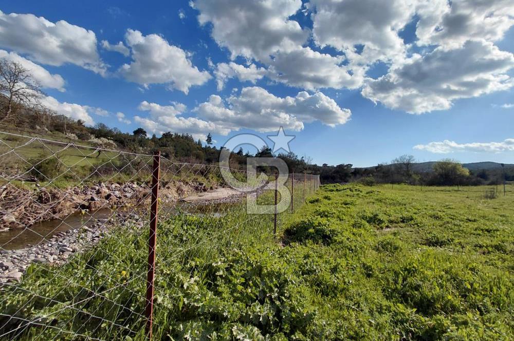 Bergama' da Hazır Düzenli | Sosyal Alanlı Satılık Parsel