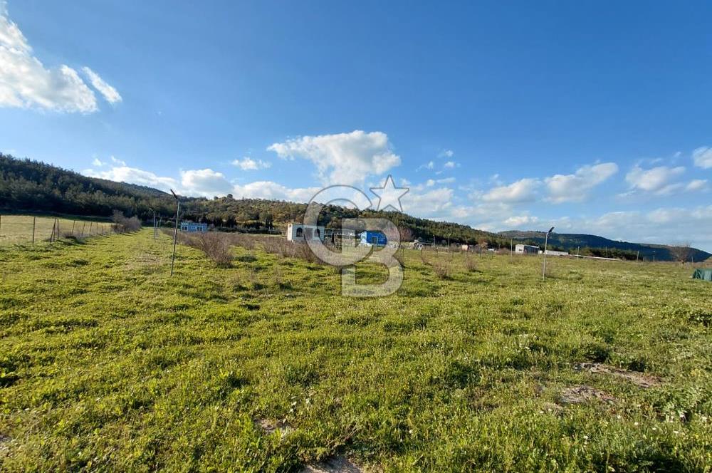 Bergama' da Hazır Düzenli | Sosyal Alanlı Satılık Parsel