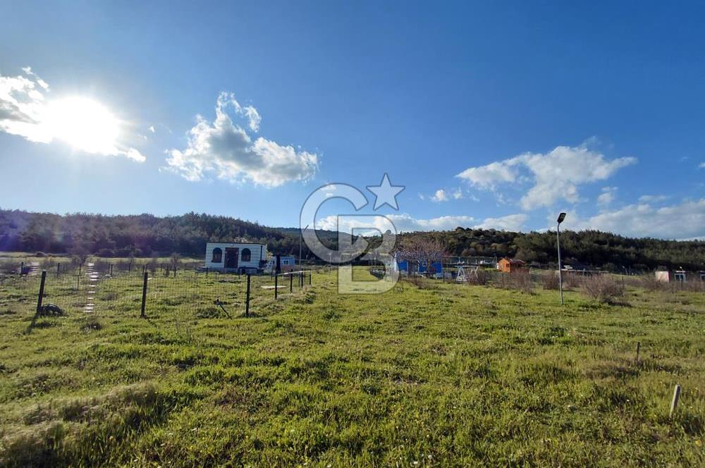 Bergama' da Hazır Düzenli | Sosyal Alanlı Satılık Parsel