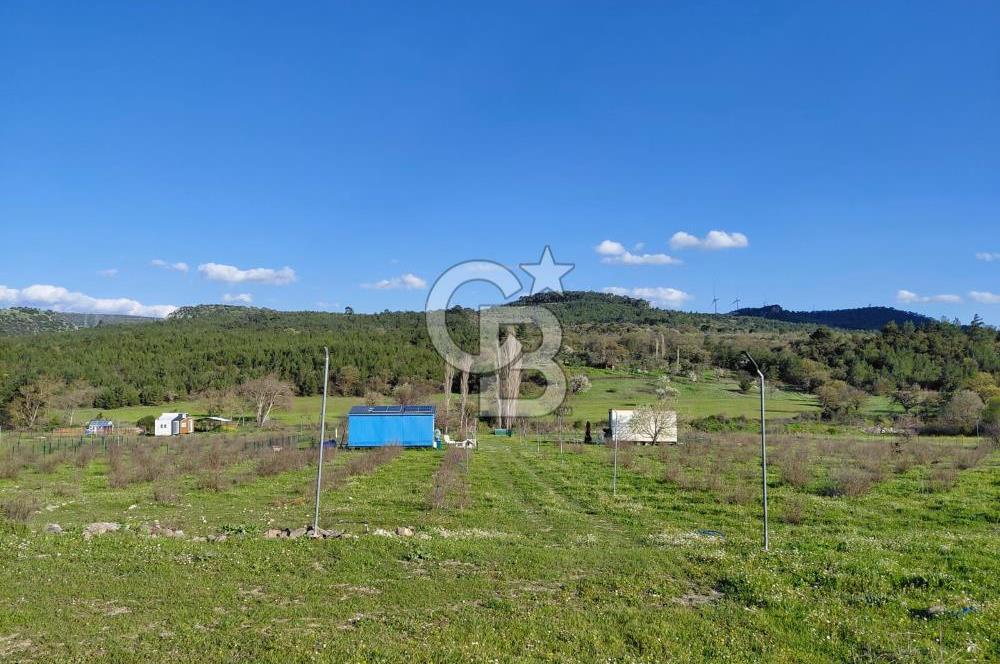 Bergama' da Hazır Düzenli | Sosyal Alanlı Satılık Parsel