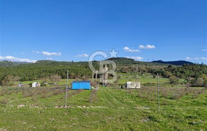 Bergama' da Hazır Düzenli | Sosyal Alanlı Satılık Parsel