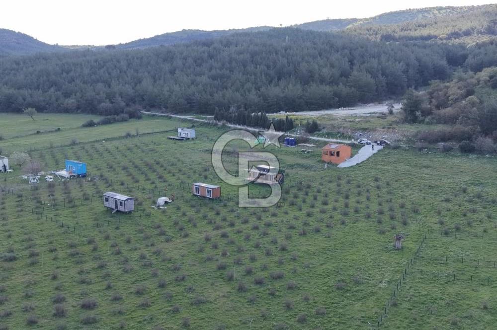 Bergama' da Hazır Düzenli | Sosyal Alanlı Satılık Parsel