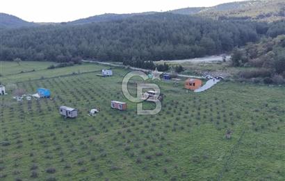 Bergama' da Hazır Düzenli | Sosyal Alanlı Satılık Parsel