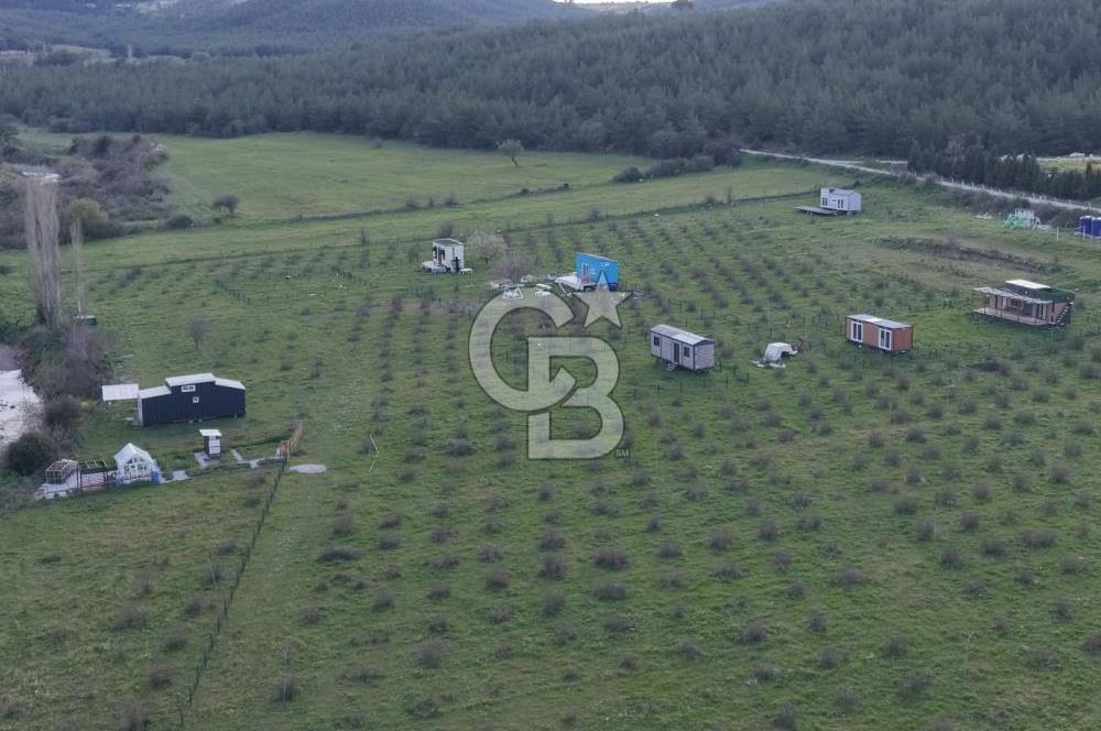 Bergama' da Hazır Düzenli | Sosyal Alanlı Satılık Parsel