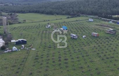 Bergama' da Hazır Düzenli | Sosyal Alanlı Satılık Parsel