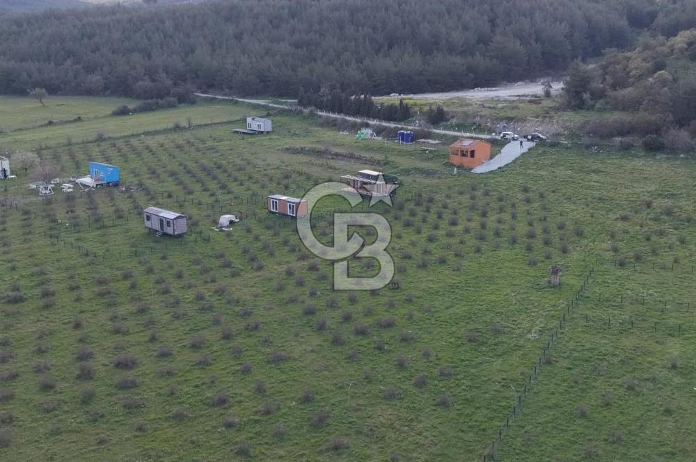 Bergama' da Hazır Düzenli | Sosyal Alanlı Satılık Parsel