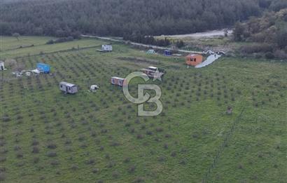 Bergama' da Hazır Düzenli | Sosyal Alanlı Satılık Parsel